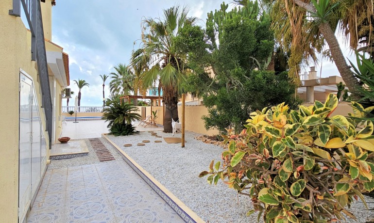 Revente - Villa -
Torrevieja