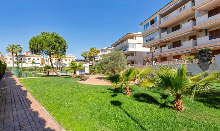 Revente - Appartement / Flat -
Torrevieja* - La Mata*