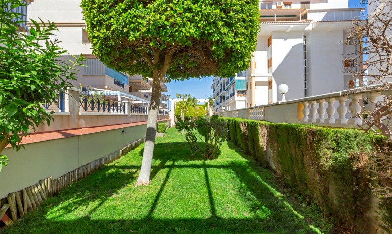 Revente - Appartement / Flat -
Torrevieja* - La Mata*