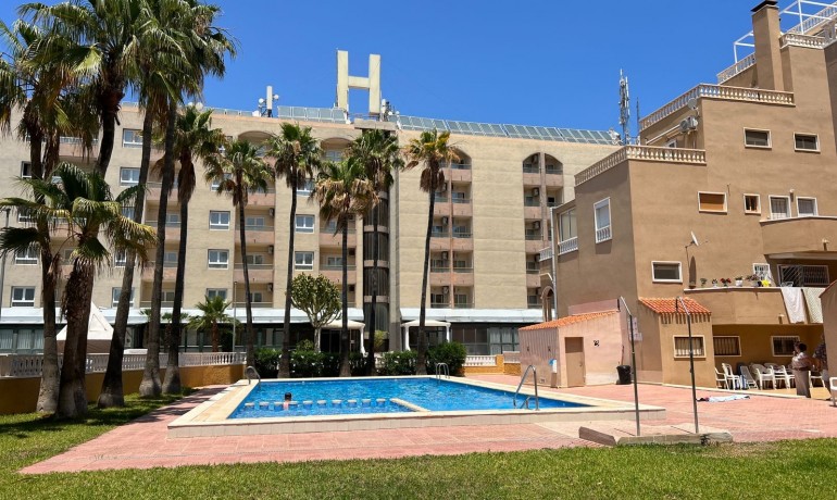 Sale - Apartment / Flat -
Punta Prima - Punta Prima Torrevieja