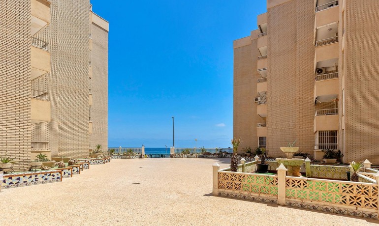 Herverkoop - Appartement / Flat -
Torrevieja - Playa de los Locos