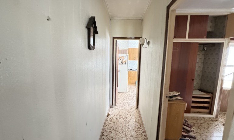 Venta - Apartamento / piso -
