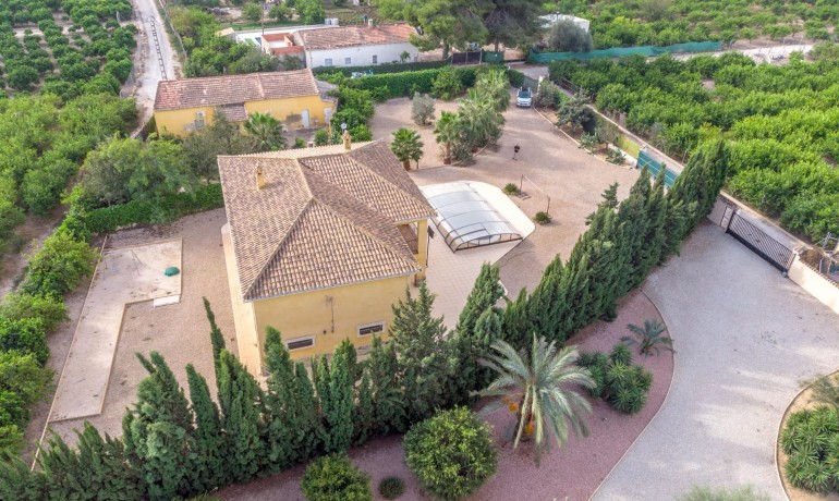 Revente - Country Property -
Orihuela - Molins