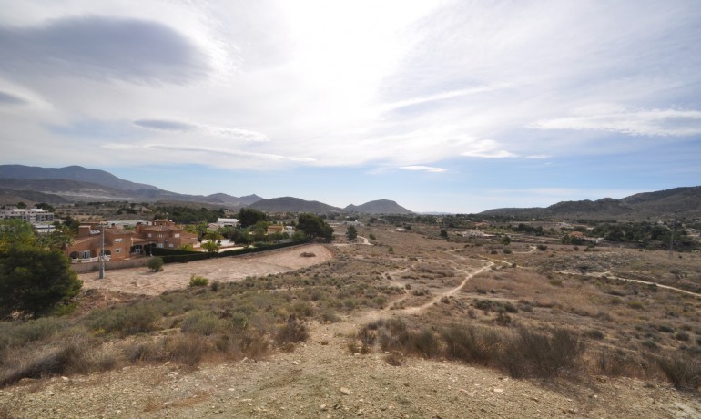 Revente - Finca / Propriété de campagne -
Monovar