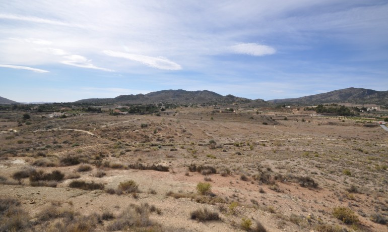 Revente - Finca / Propriété de campagne -
Monovar