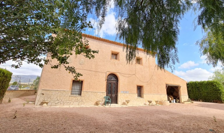 Revente - Finca / Propriété de campagne -
Pinoso