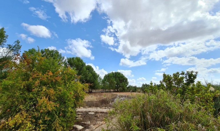 Revente - Finca / Propriété de campagne -
Pinoso