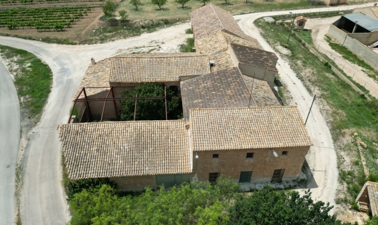 Revente - Finca / Propriété de campagne -
Pinoso