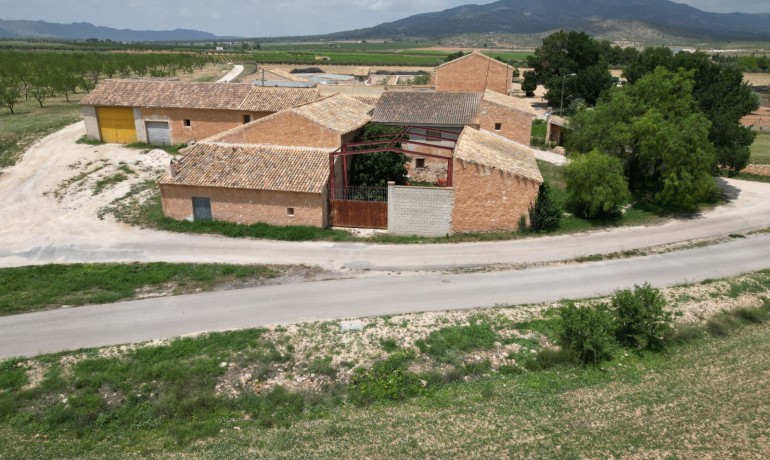 Revente - Finca / Propriété de campagne -
Pinoso