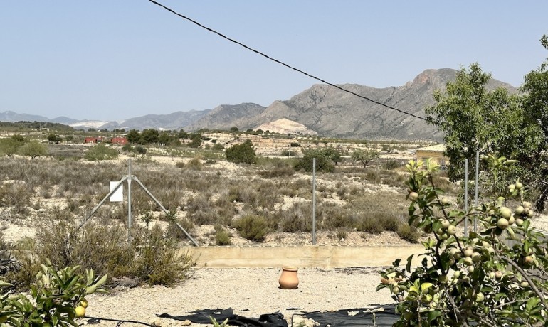 Herverkoop - Villa -
Hondón de los Fráiles - HONDON DE LOS FRAILES