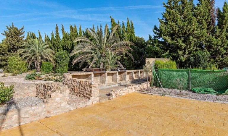 Herverkoop - Country Property -
Los Montesinos