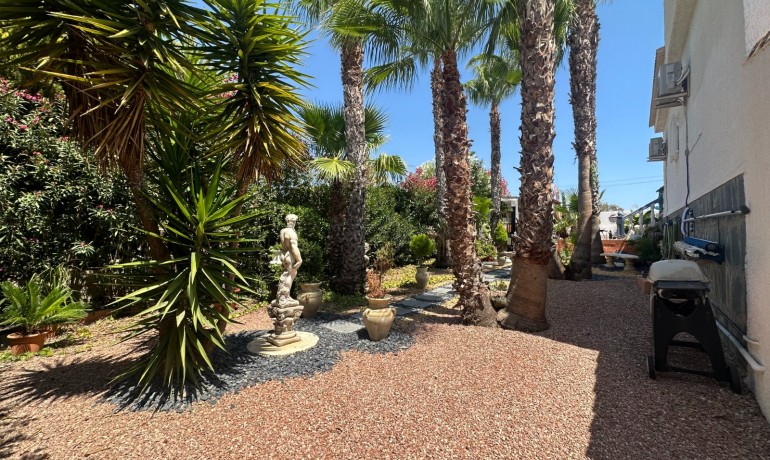 Revente - Villa -
San Luis, Torrevieja