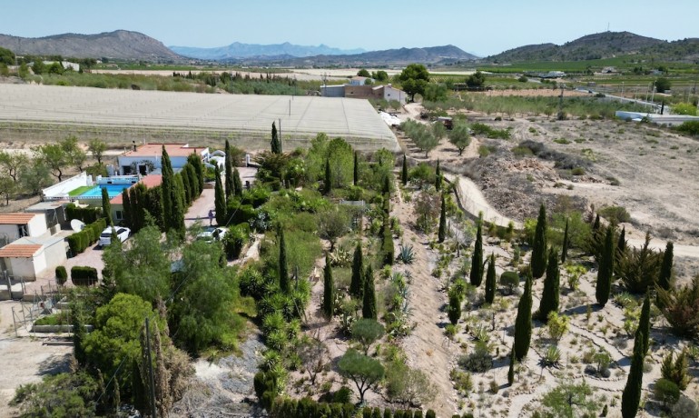 Herverkoop - Villa -
Alicante* - Hondón de las Nieves*