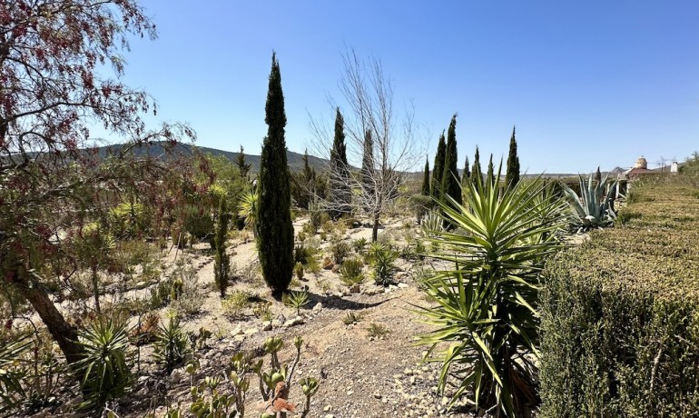 Revente - Villa -
Hondón de las Nieves - HONDON DE LAS NIEVES