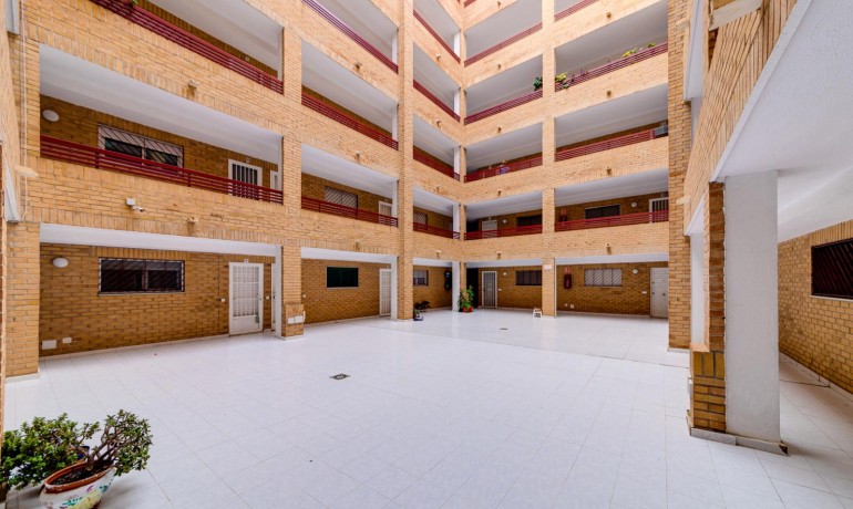 Sale - Apartment / Flat -
Torrevieja* - El Molino*