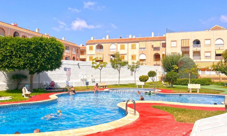 Revente - Appartement / Flat -
Torrevieja* - Acequion*