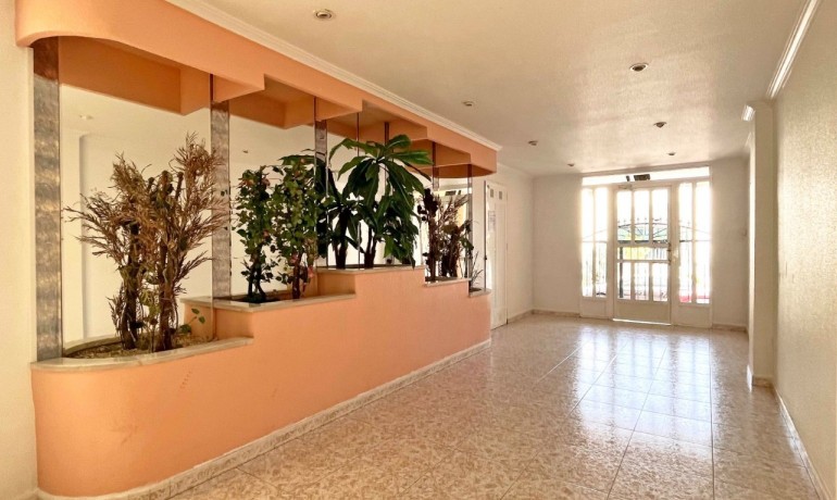 Revente - Appartement / Flat -
Torrevieja* - Acequion*