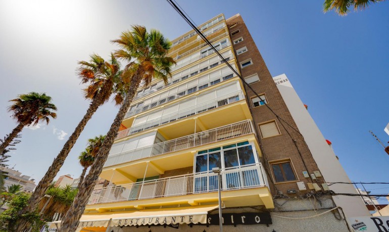 Venta - Apartamento / piso -
