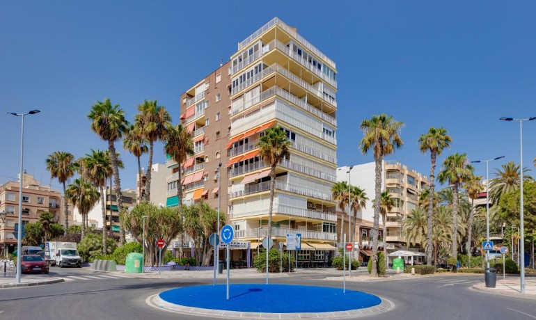 Venta - Apartamento / piso -
