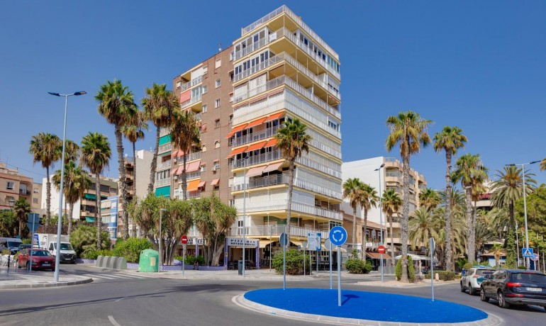 Venta - Apartamento / piso -
