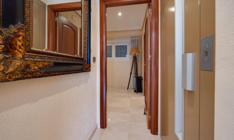 Venta - Apartamento / piso -
