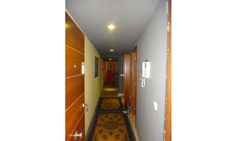 Venta - Apartamento / piso -
