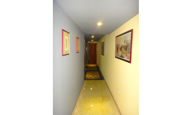 Venta - Apartamento / piso -
