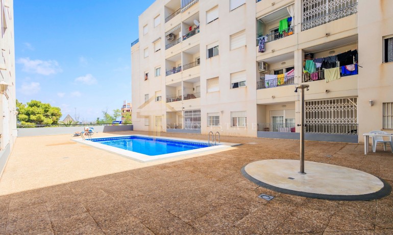 Venta - Apartamento / piso -
